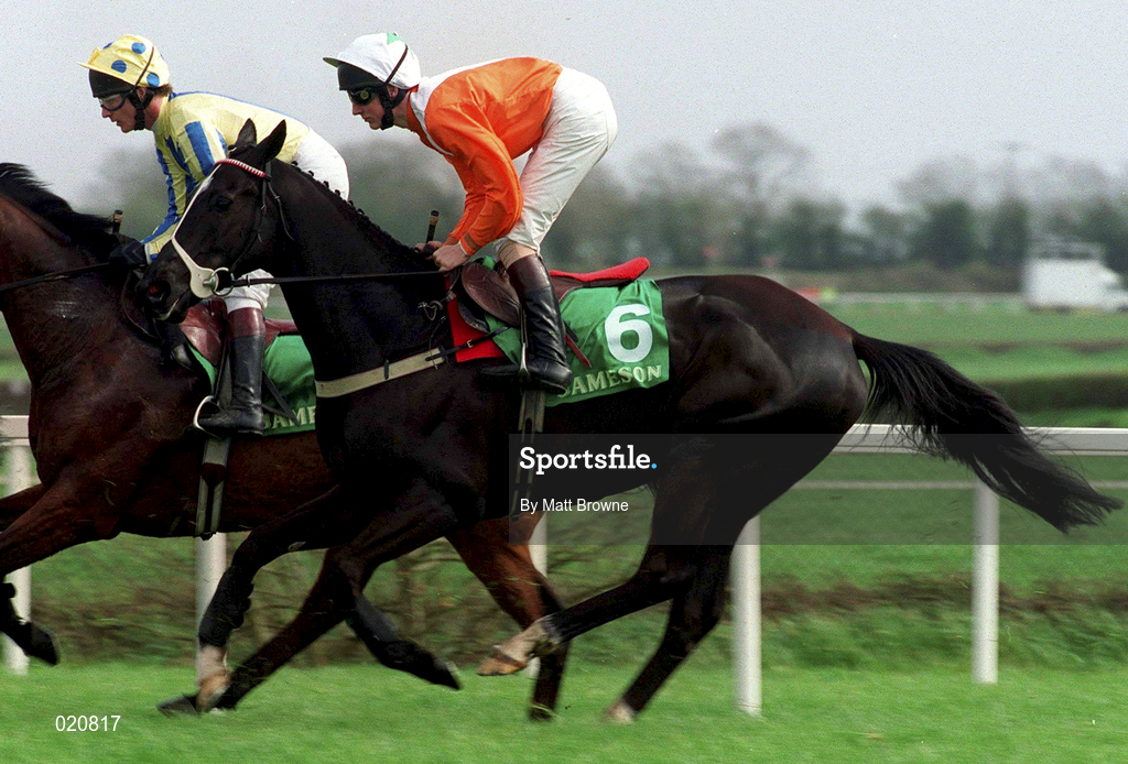 5 April 1999; All The Colours, with Francis Berry up, canters to the start prior to the Jameson Gold Cup Novice Hurdle at Fairyhouse Racecourse in Ratoath, Meath. Photo by Matt Browne/Sportsfile