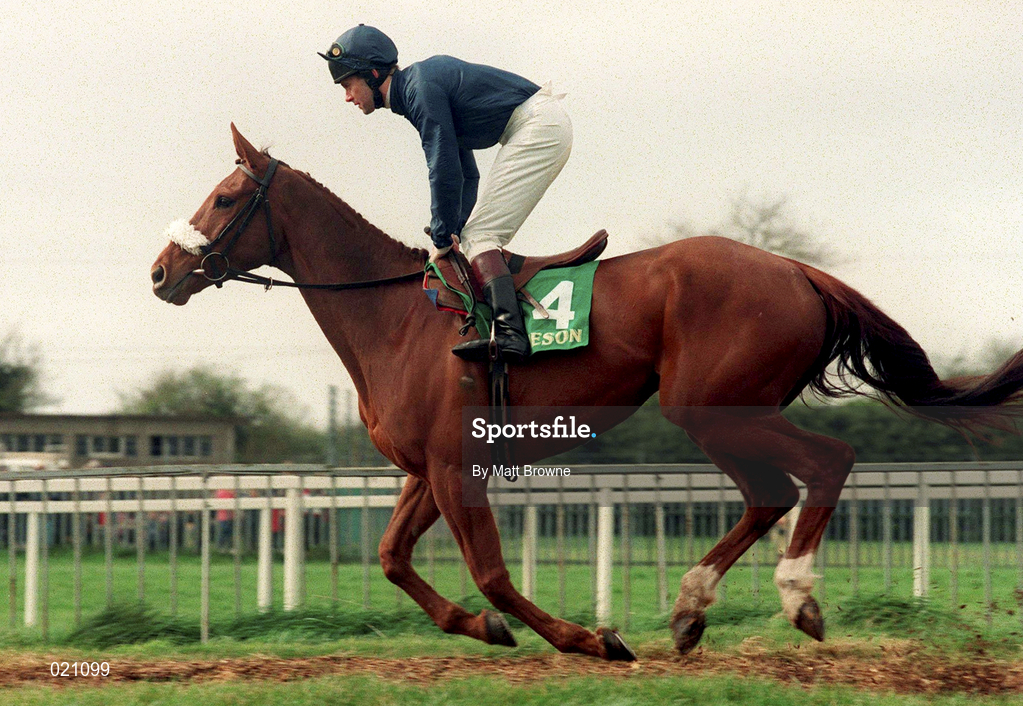 5 April 1999; Native Upmanship, with Conor O'Dwyer up, canters to the start prior to the Jameson Gold Cup Novice Hurdle at Fairyhouse Racecourse in Ratoath, Meath. Photo by Matt Browne/Sportsfile