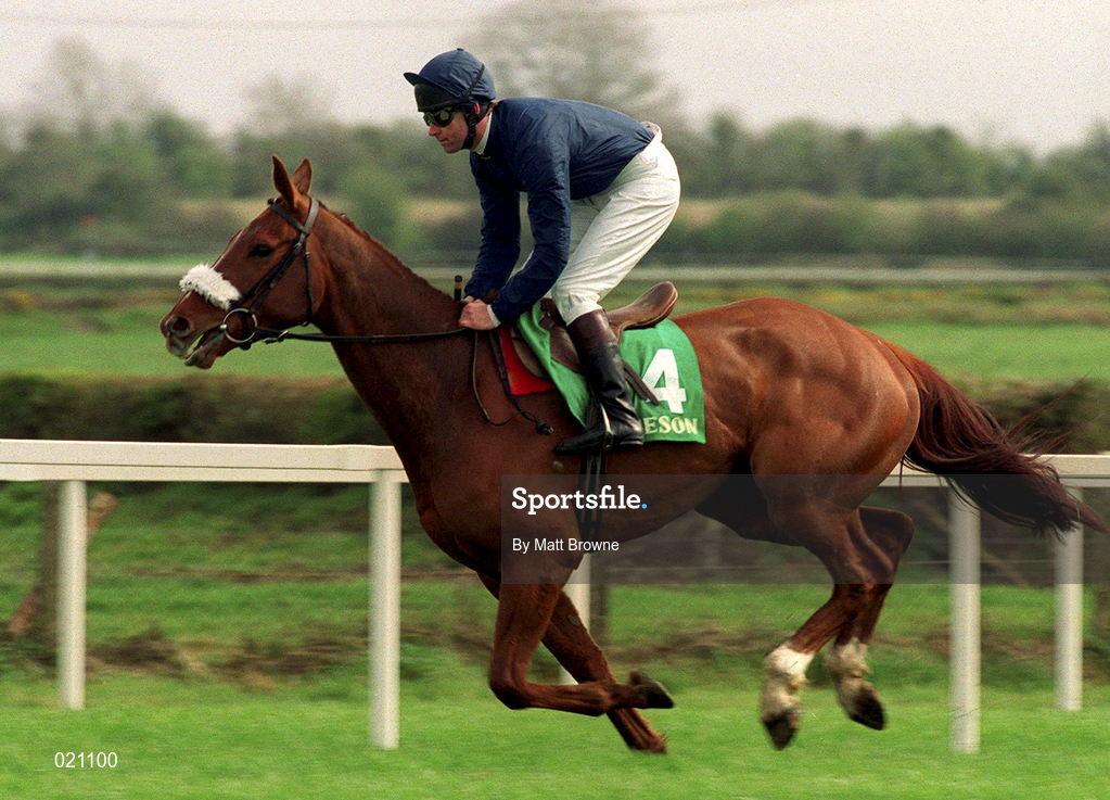 5 April 1999; Native Upmanship, with Conor O'Dwyer up, canters to the start prior to the Jameson Gold Cup Novice Hurdle at Fairyhouse Racecourse in Ratoath, Meath. Photo by Matt Browne/Sportsfile