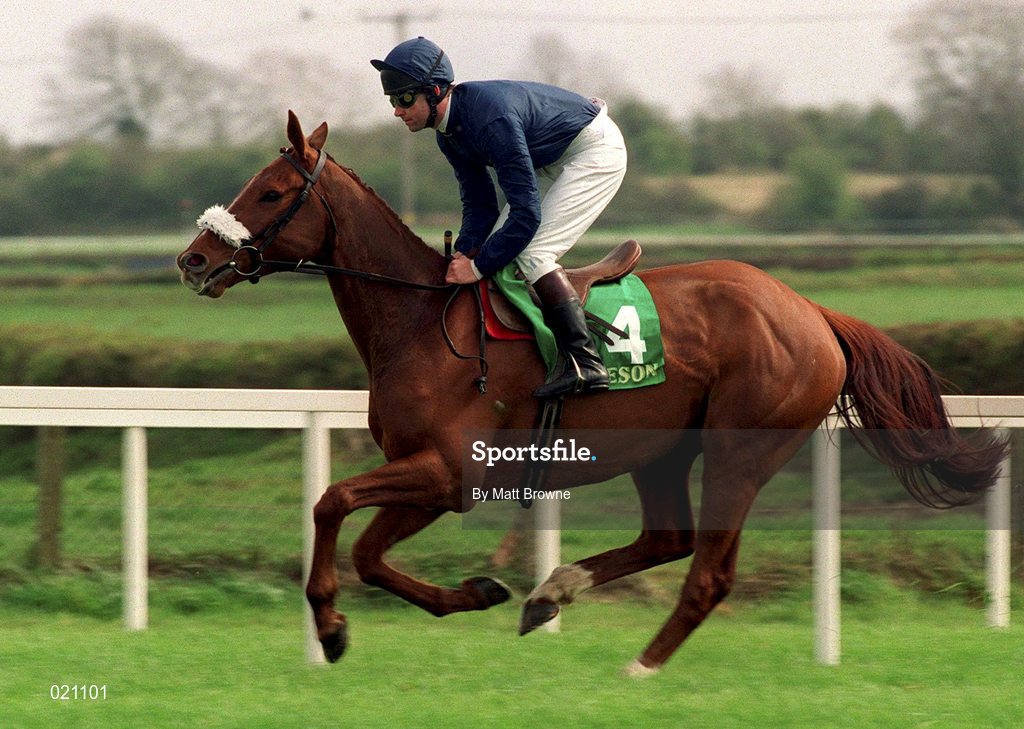 5 April 1999; Native Upmanship, with Conor O'Dwyer up, canters to the start prior to the Jameson Gold Cup Novice Hurdle at Fairyhouse Racecourse in Ratoath, Meath. Photo by Matt Browne/Sportsfile