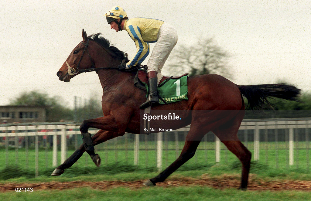 5 April 1999; Dance So Sweet, with Norman Williamson up, canters to the start prior to the Jameson Gold Cup Novice Hurdle at Fairyhouse Racecourse in Ratoath, Meath. Photo by Matt Browne/Sportsfile