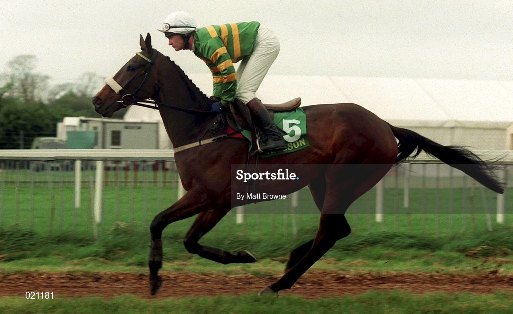 5 April 1999; Cardinal Hill, with Paul Carberry up, canters to the start prior to the Jameson Gold Cup Novice Hurdle at Fairyhouse Racecourse in Ratoath, Meath. Photo by Matt Browne/Sportsfile