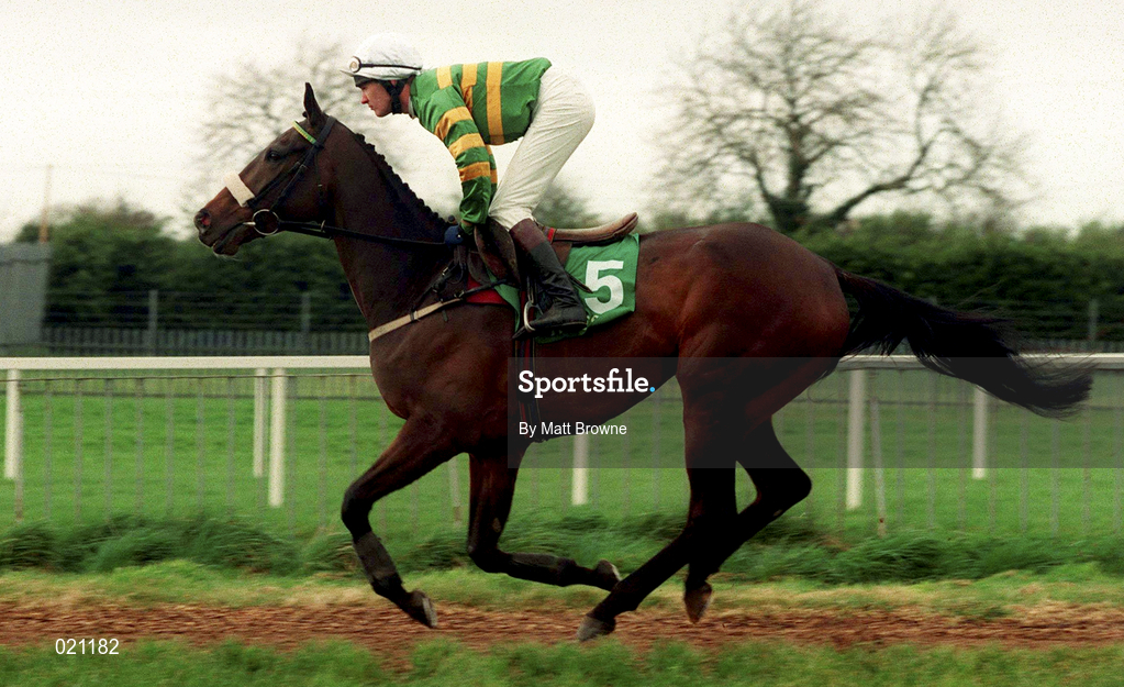 5 April 1999; Cardinal Hill, with Paul Carberry up, canters to the start prior to the Jameson Gold Cup Novice Hurdle at Fairyhouse Racecourse in Ratoath, Meath. Photo by Matt Browne/Sportsfile
