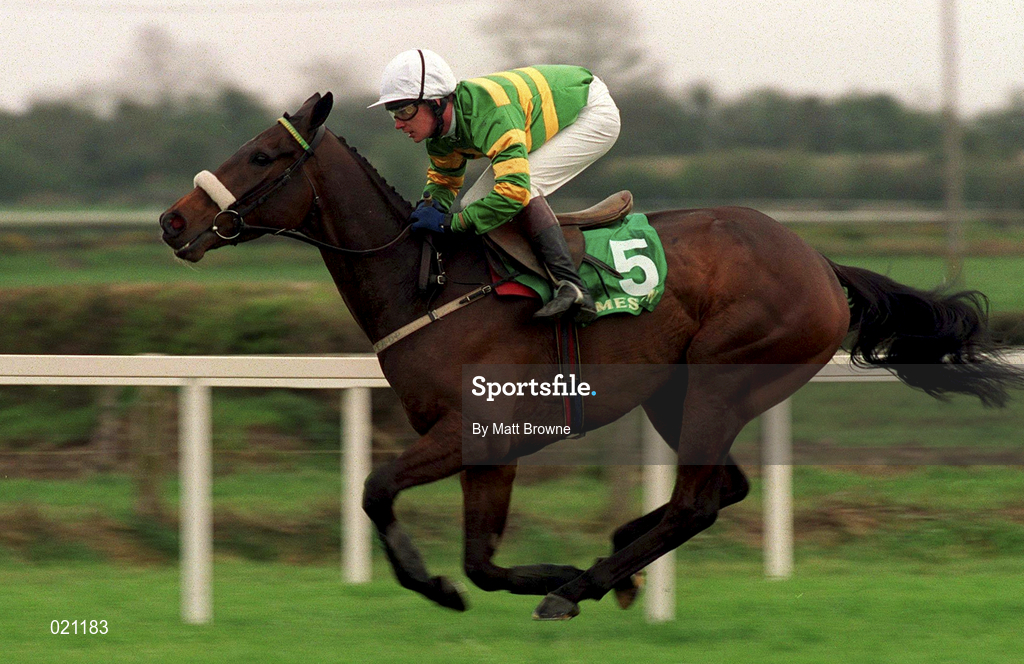 5 April 1999; Cardinal Hill, with Paul Carberry up, canters to the start prior to the Jameson Gold Cup Novice Hurdle at Fairyhouse Racecourse in Ratoath, Meath. Photo by Matt Browne/Sportsfile