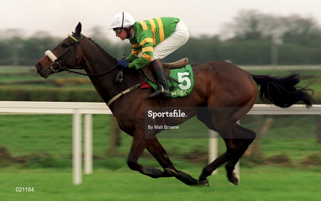 5 April 1999; Cardinal Hill, with Paul Carberry up, canters to the start prior to the Jameson Gold Cup Novice Hurdle at Fairyhouse Racecourse in Ratoath, Meath. Photo by Matt Browne/Sportsfile
