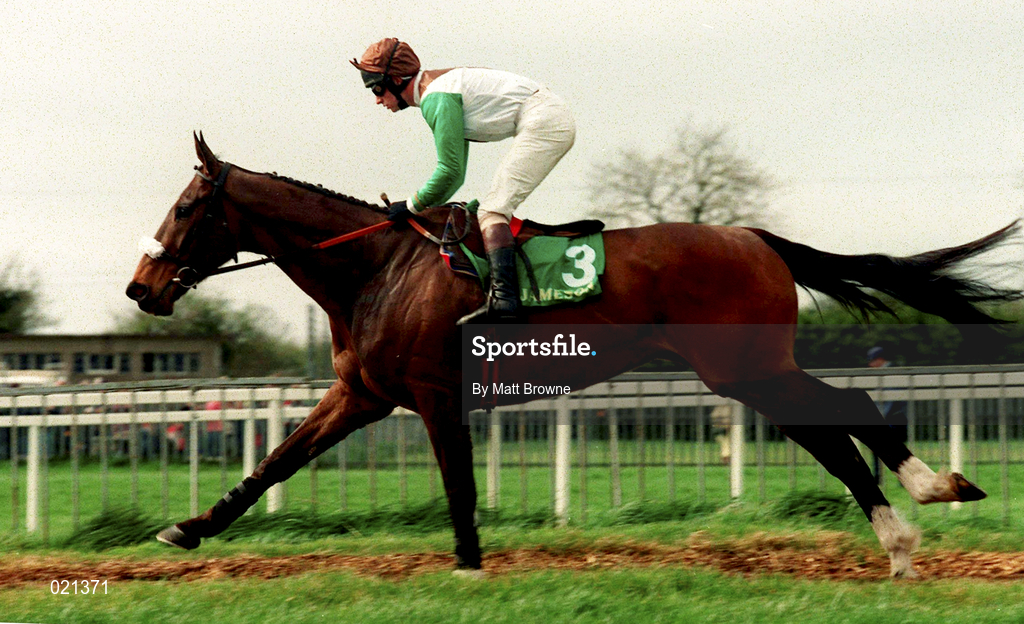 5 April 1999; Montana Glen, with Tom Treacy up, canters to the start prior to the Jameson Gold Cup Novice Hurdle at Fairyhouse Racecourse in Ratoath, Meath. Photo by Matt Browne/Sportsfile