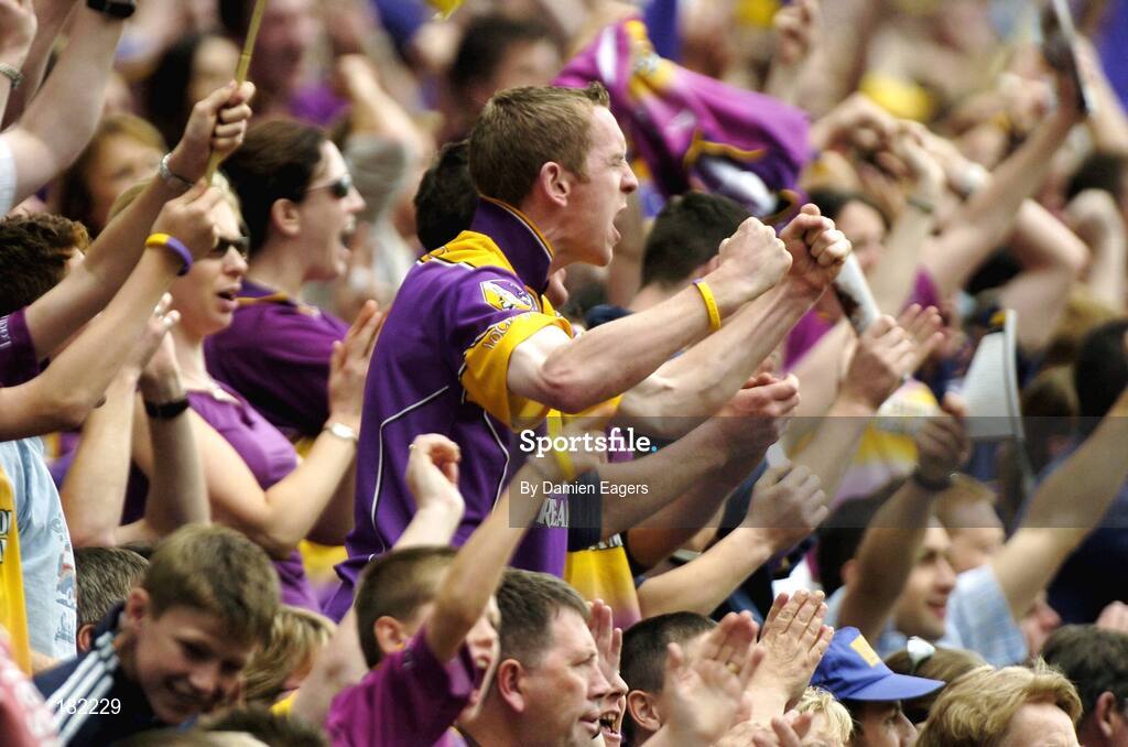 3 July 2005; Wexford supporters cheer on their team. Guinness Leinster Senior Hurling Championship Final, Kilkenny v Wexford, Croke Park, Dublin. Picture credit; Damien Eagers / SPORTSFILE