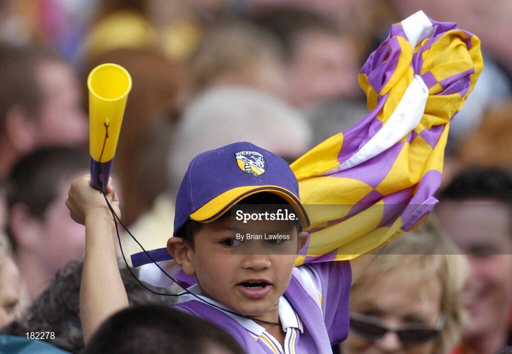 3 July 2005; A young Wexford fan cheers on his side during the match. Guinness Leinster Senior Hurling Championship Final, Kilkenny v Wexford, Croke Park, Dublin. Picture credit; Brian Lawless / SPORTSFILE