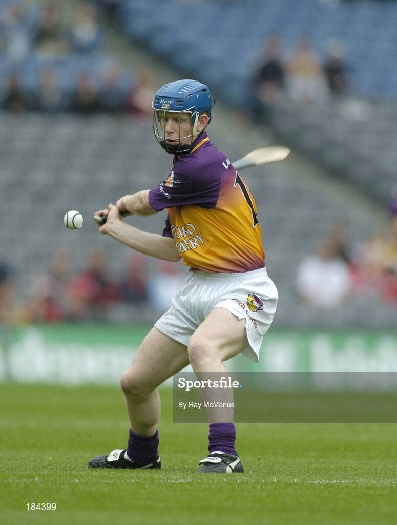 24 July 2005; Rory Jacob, Wexford. Guinness All-Ireland Senior Hurling Championship Quarter-Final, Wexford v Clare, Croke Park, Dublin. Picture credit; Ray McManus / SPORTSFILE