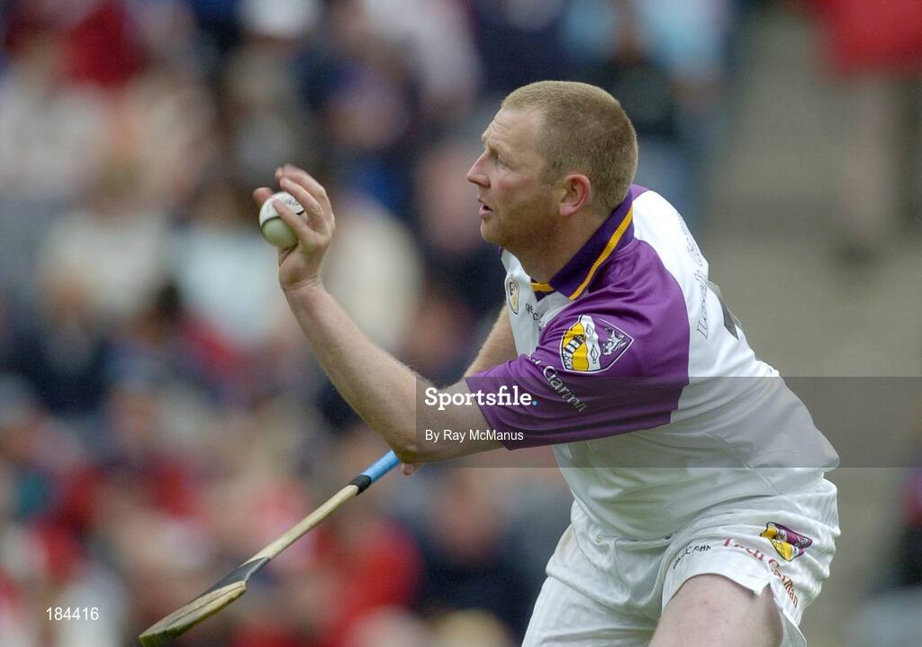 24 July 2005; Damien Fitzhenry, Wexford. Guinness All-Ireland Senior Hurling Championship Quarter-Final, Wexford v Clare, Croke Park, Dublin. Picture credit; Ray McManus / SPORTSFILE
