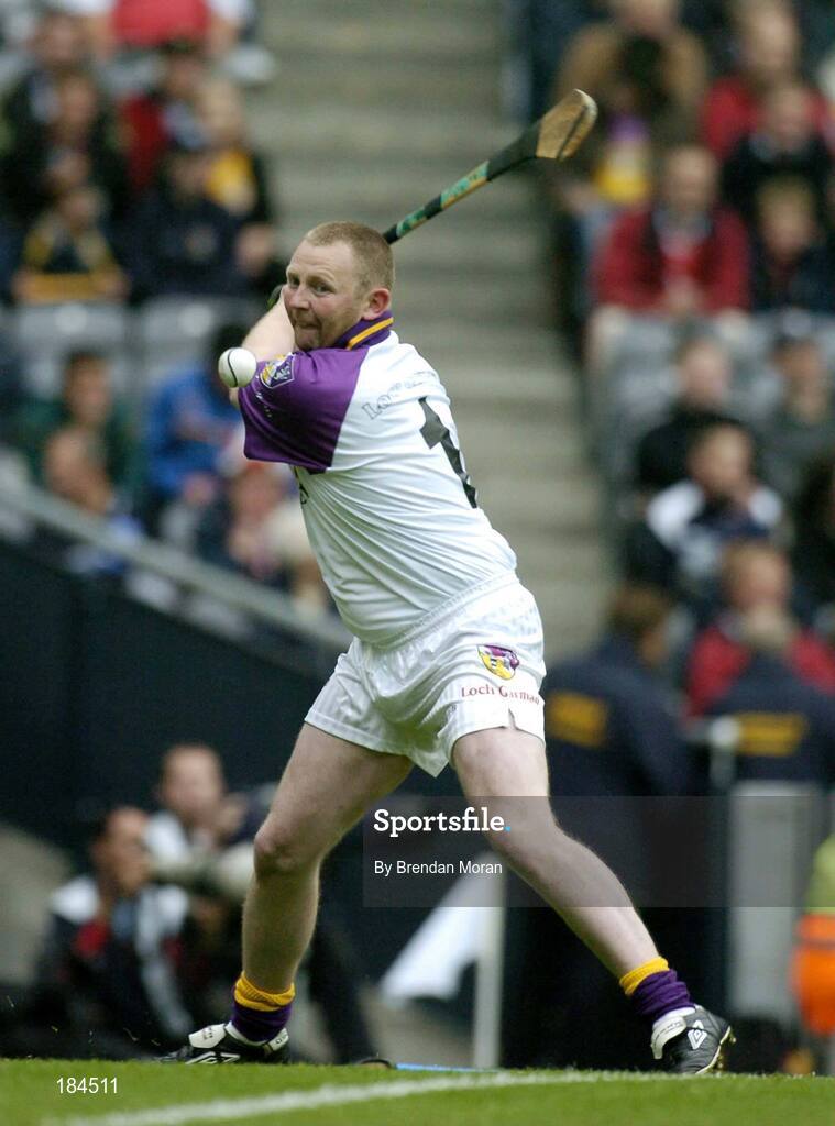 24 July 2005; Damien Fitzhenry, Wexford. Guinness All-Ireland Senior Hurling Championship Quarter-Final, Wexford v Clare, Croke Park, Dublin. Picture credit; Brendan Moran / SPORTSFILE