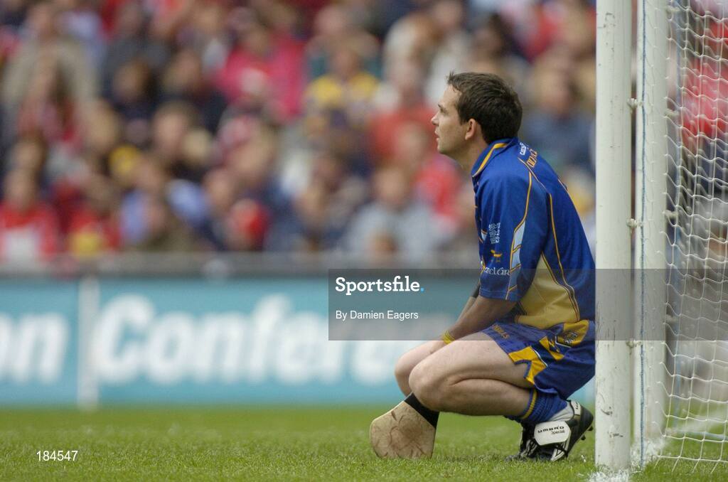 24 July 2005; David Fitzgerald, Clare goalkeeper. Guinness All-Ireland Senior Hurling Championship Quarter-Final, Wexford v Clare, Croke Park, Dublin. Picture credit; Damien Eagers / SPORTSFILE