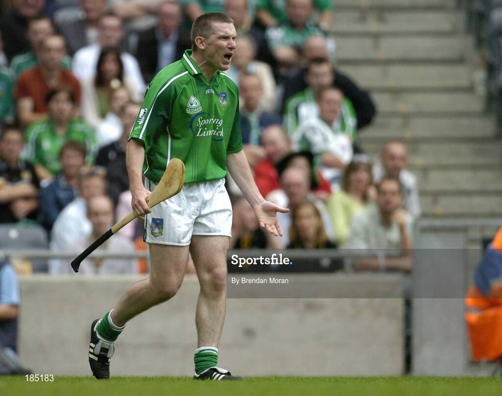 31 July 2005; Mark Foley, Limerick, makes a point to his team-mates during the game. Guinness All-Ireland Hurling Championship, Quarter-Final, Kilkenny v Limerick, Croke Park, Dublin. Picture credit; Brendan Moran / SPORTSFILE