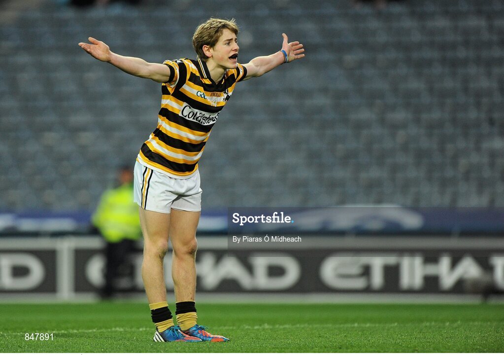 8 March 2014; Colm Ó Neill, Coláiste Eoin, remonstrates with an umpire. Leinster Colleges Senior Football Championship Final, Coláiste Eoin v Marist Athlone. Croke Park, Dublin. Picture credit: Piaras Ó Mídheach / SPORTSFILE