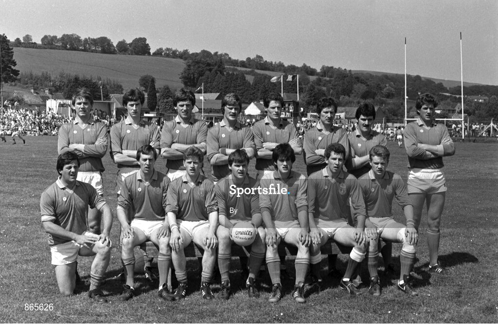 15 June 1986; The Wicklow team. Leinster Football Championship, Wicklow v Laois, County Park, Aughrim, Co. Wicklow. Picture credit; Ray McManus / SPORTSFILE
