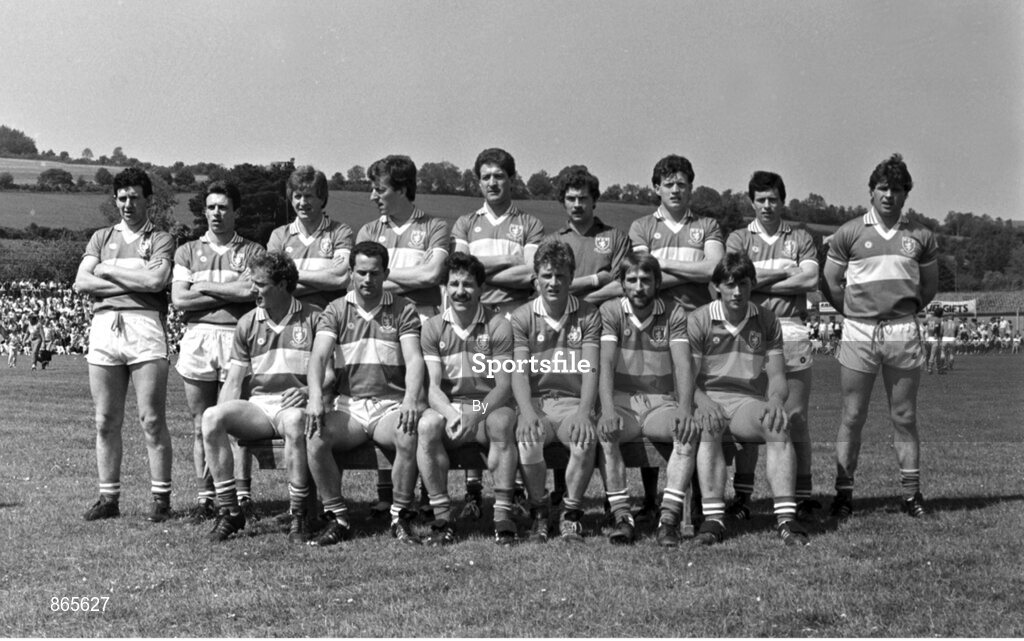 15 June 1986; The Laois team. Leinster Football Championship, Wicklow v Laois, County Park, Aughrim, Co. Wicklow. Picture credit; Ray McManus / SPORTSFILE