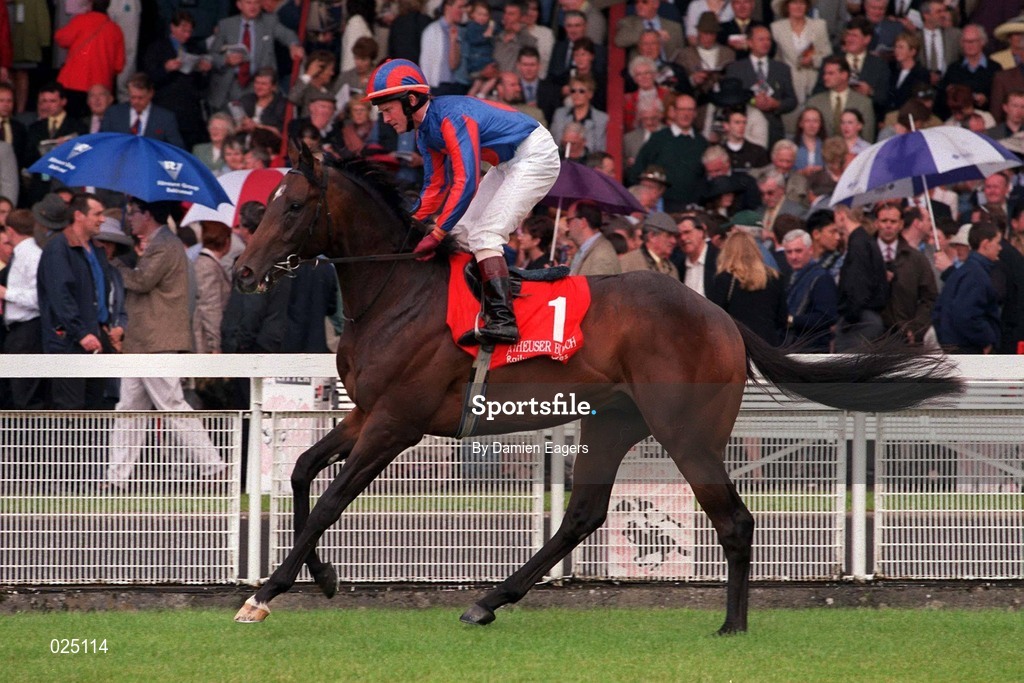 27 June 1999; Bernstein, with Mick Kinane up, goes to post prior to the Arthur Guinness Railway Stakes at The Curragh Racecourse in Newbridge, Kildare. Photo by Damien Eagers/Sportsfile