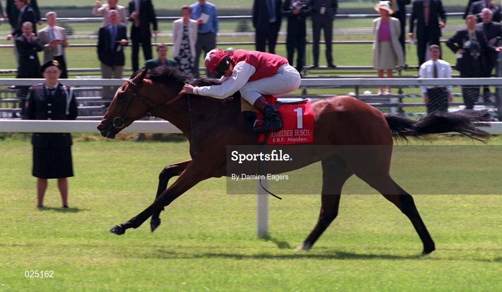 27 June 1999; Broche, with Frankie Dettori up, on their way to winning the Anheuser Busch E.B.F. Maiden at The Curragh Racecourse in Newbridge, Kildare. Photo by Damien Eagers/Sportsfile