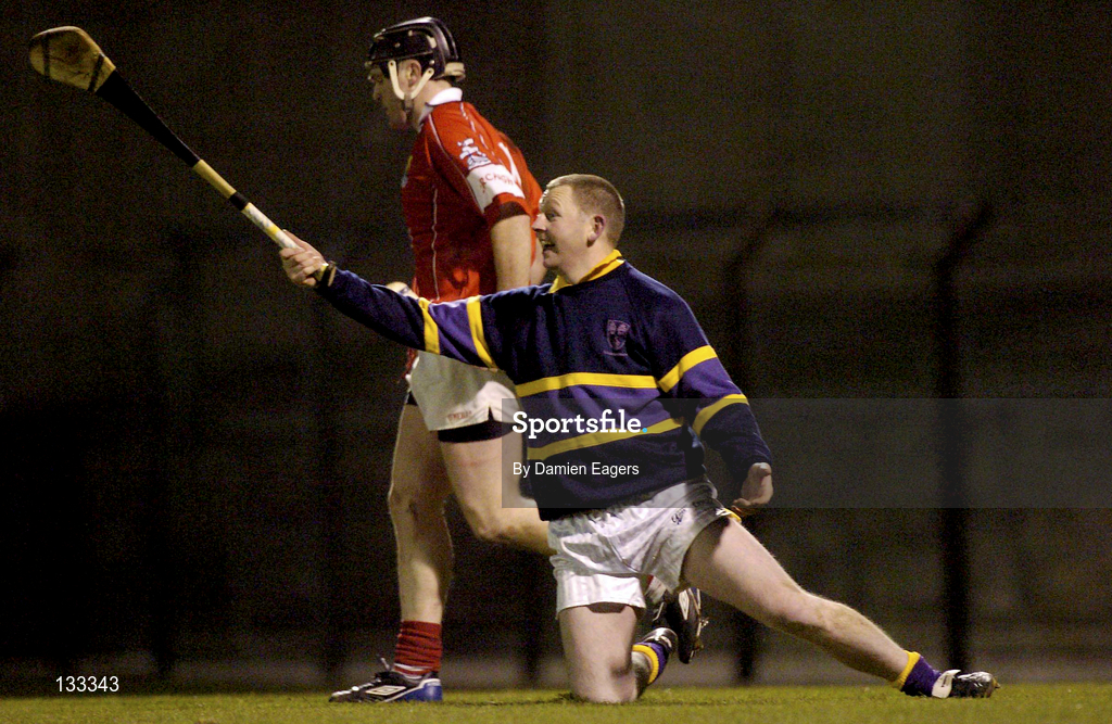 28 February 2004; Wexford goalkeeper Damien Fitzhenry appeals for a square ball after Brendan Lombard of Cork scored a goal during the Allianz Hurling League Division 1B match between Cork and Wexford at Páirc Uí Rinn in Cork. Photo by Damien Eagers/Sportsfile