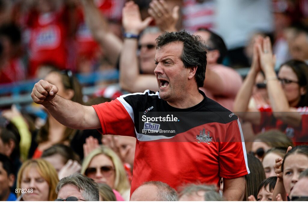 15 June 2014; A Cork supporter celebrates a second half score. Munster GAA Hurling Senior Championship, Semi-Final, Clare v Cork, Semple Stadium, Thurles, Co. Tipperary. Picture credit: Dáire Brennan / SPORTSFILE