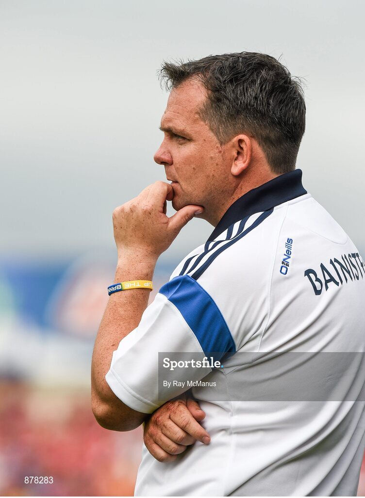 15 June 2014; Clare manager Davy Fitzgerald near the end of the game. Munster GAA Hurling Senior Championship, Semi-Final, Clare v Cork, Semple Stadium, Thurles, Co. Tipperary. Picture credit: Ray McManus / SPORTSFILE