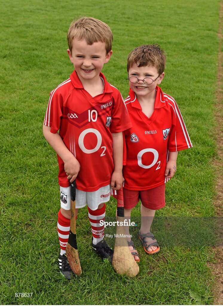 15 June 2014; Cork cousins Cian Lawton, aged 5, and Ciaran O'Brien, right, aged 4, from Middleton, before the game. Munster GAA Hurling Senior Championship, Semi-Final, Clare v Cork, Semple Stadium, Thurles, Co. Tipperary. Picture credit: Ray McManus / SPORTSFILE