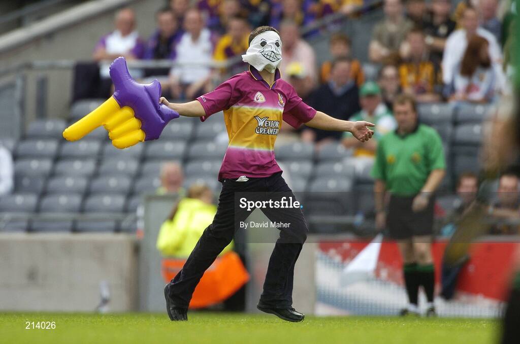 2 July 2006; A Wexford Supporter on the pitch during the second half. Guinness Leinster Senior Hurling Championship Final, Wexford v Kilkenny, Croke Park, Dublin. Picture credit: David Maher / SPORTSFILE