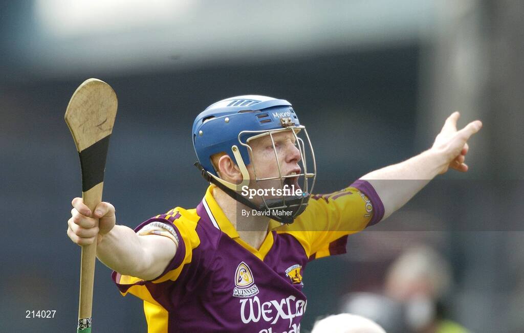 2 July 2006; Rory Jacob, Wexford, celebrates after scoring his sides first goal. Guinness Leinster Senior Hurling Championship Final, Wexford v Kilkenny, Croke Park, Dublin. Picture credit: David Maher / SPORTSFILE