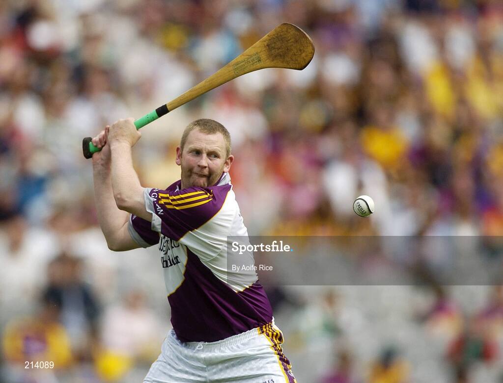 2 July 2006; Wexford goalkeeper Damien Fitzhenry. Guinness Leinster Senior Hurling Championship Final, Wexford v Kilkenny, Croke Park, Dublin. Picture credit: Aoife Rice / SPORTSFILE