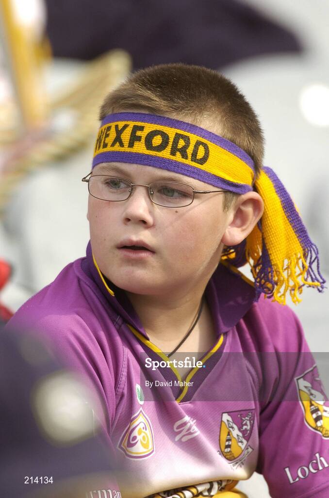 2 July 2006; Wexford supporter watches on during the game. Guinness Leinster Senior Hurling Championship Final, Wexford v Kilkenny, Croke Park, Dublin. Picture credit: David Maher / SPORTSFILE