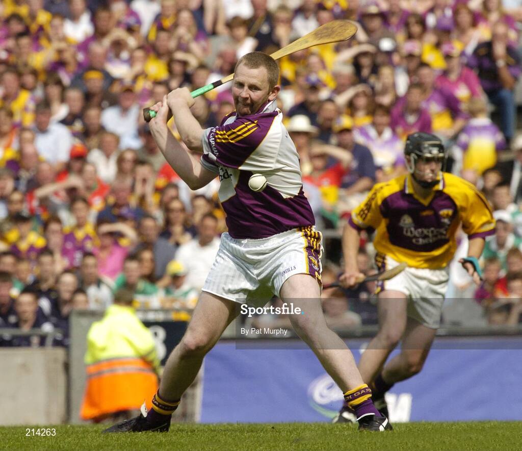 2 July 2006; Damien Fitzhenry, Wexford. Guinness Leinster Senior Hurling Championship Final, Wexford v Kilkenny, Croke Park, Dublin. Picture credit: Pat Murphy / SPORTSFILE