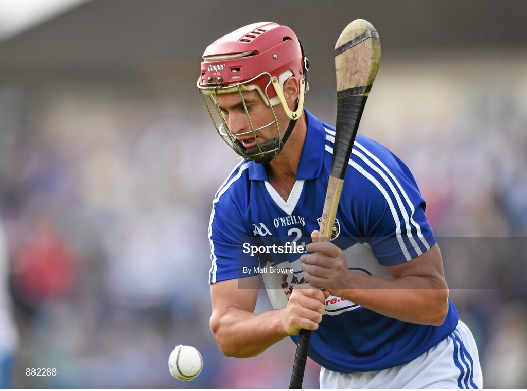 28 June 2014; John Delaney, Laois. GAA Hurling All-Ireland Senior Championship, Round 1, Waterford v Laois, Walsh Park, Waterford. Picture credit: Matt Browne / SPORTSFILE