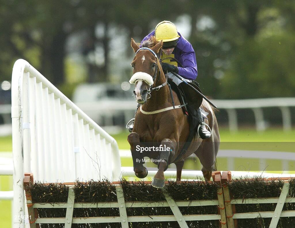 31 July 2006; Zeroberto, with Ruby Walsh up, clear the last on their way to winning the G.P.T. Dublin Handicap Hurdle. Galway Races, Ballybrit, Co. Galway. Picture credit; Matt Browne / SPORTSFILE