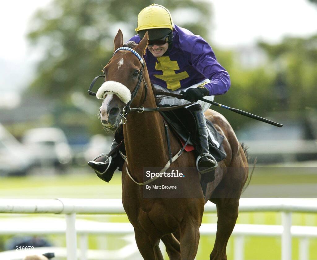 31 July 2006; Zeroberto, with Ruby Walsh up, on their way to winning the G.P.T. Dublin Handicap Hurdle after jumping the last. Galway Races, Ballybrit, Co. Galway. Picture credit; Matt Browne / SPORTSFILE