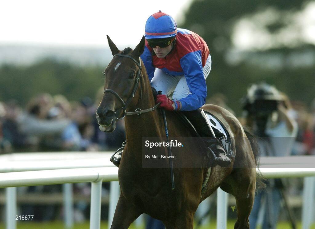 31 July 2006; P'tit Fute, with James O'Farrell up, on their way to winning the G.P.T. Galway Q.R. Handicap. Galway Races, Ballybrit, Co. Galway. Picture credit; Matt Browne / SPORTSFILE