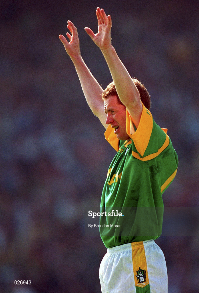 1 August 1999; Donal Curtis of Meath during the Bank of Ireland Leinster Senior Football Championship Final match between Dublin and Meath at Croke Park in Dublin. Photo by Brendan Moran/Sportsfile