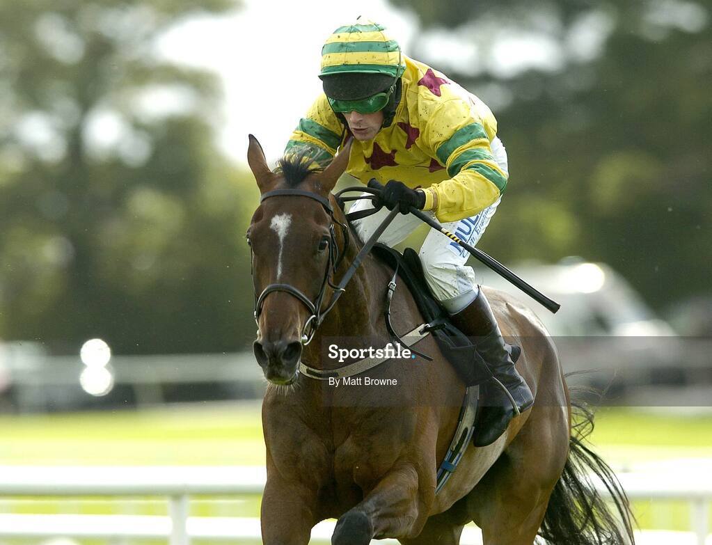 31 July 2006; Oscar Glory, with Paul Carberry up, during the G.P.T. Dublin Handicap Hurdle. Galway Races, Ballybrit, Co. Galway. Picture credit; Matt Browne / SPORTSFILE