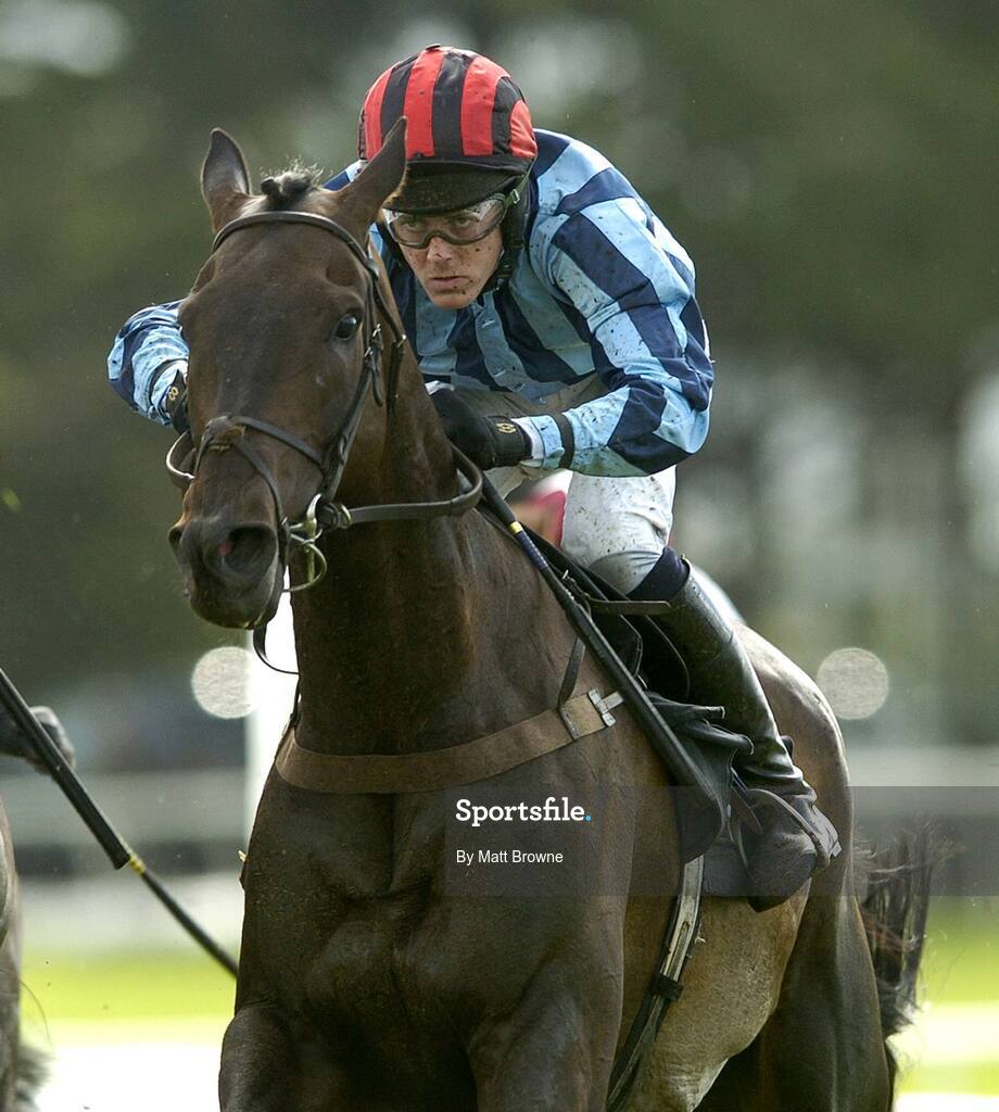 31 July 2006; Serious Weapon, with Andrew McNamara up, during the G.P.T. Dublin Handicap Hurdle. Galway Races, Ballybrit, Co. Galway. Picture credit; Matt Browne / SPORTSFILE