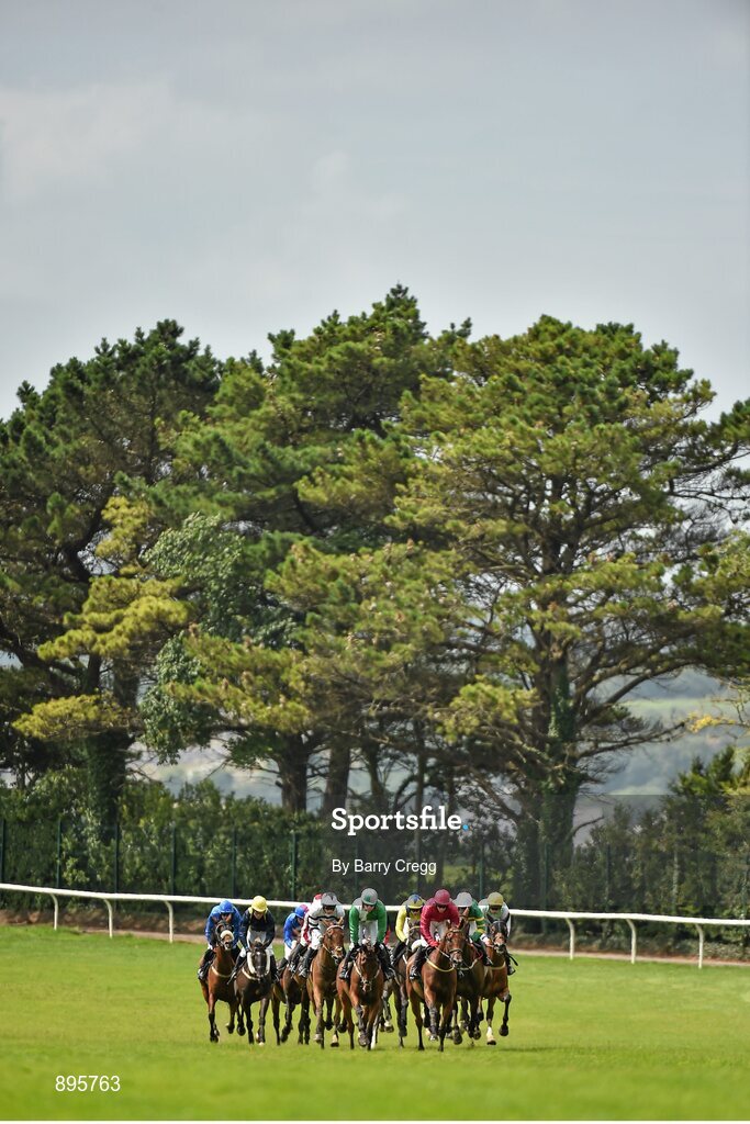 31 July 2014; A general view of the field making their way towards the staight as they start their second tour of the course during the GuinnessPlus App Beginners Steeplechase. Galway Racing Festival, Ballybrit, Co. Galway. Picture credit: Barry Cregg / SPORTSFILE