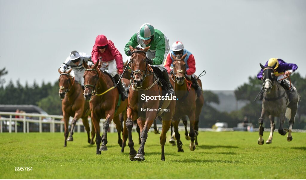 31 July 2014; Aranhill Chief, with Denis O'Regan up, comes to the finish ahead of, from left, Abolitionist, with Brian Hayes up, who finished sixth, Glenwood For Ever, with Adrian Heskin up, who finished eleventh, Mister Hotelier, with David Casey up, who finished third, and Vaxalco, with Davy Russell up, who finished fourth, to win the GuinnessPlus App Beginners Steeplechase. Galway Racing Festival, Ballybrit, Co. Galway. Picture credit: Barry Cregg / SPORTSFILE