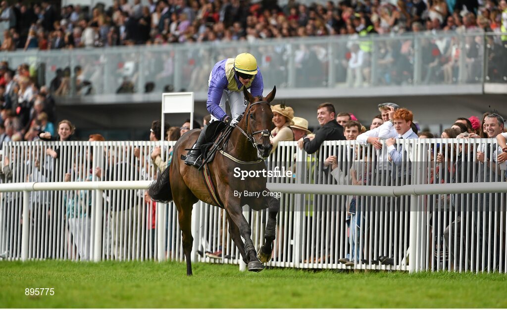 31 July 2014; Alelchi Inois, with Paul Townend up, on their way to winning the Guinness Harp Novice Steeplechase. Galway Racing Festival, Ballybrit, Co. Galway. Picture credit: Barry Cregg / SPORTSFILE