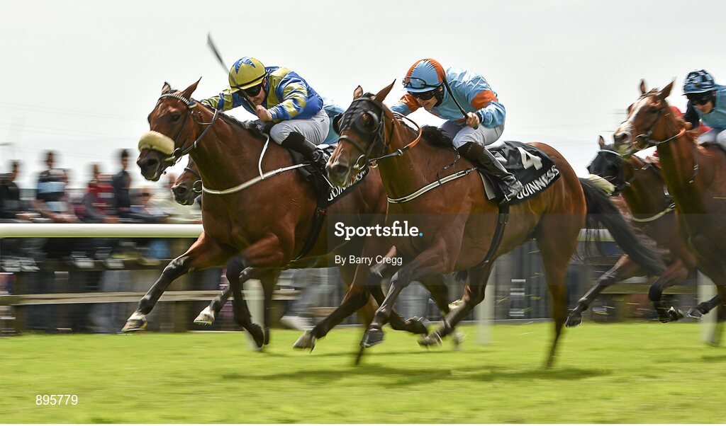 31 July 2014; Hasanour, left, with Shane Foley up, races Sretaw, with Gary Halpin up, towards the finish on their way to winning the Guinness Time Handicap. Galway Racing Festival, Ballybrit, Co. Galway. Picture credit: Barry Cregg / SPORTSFILE