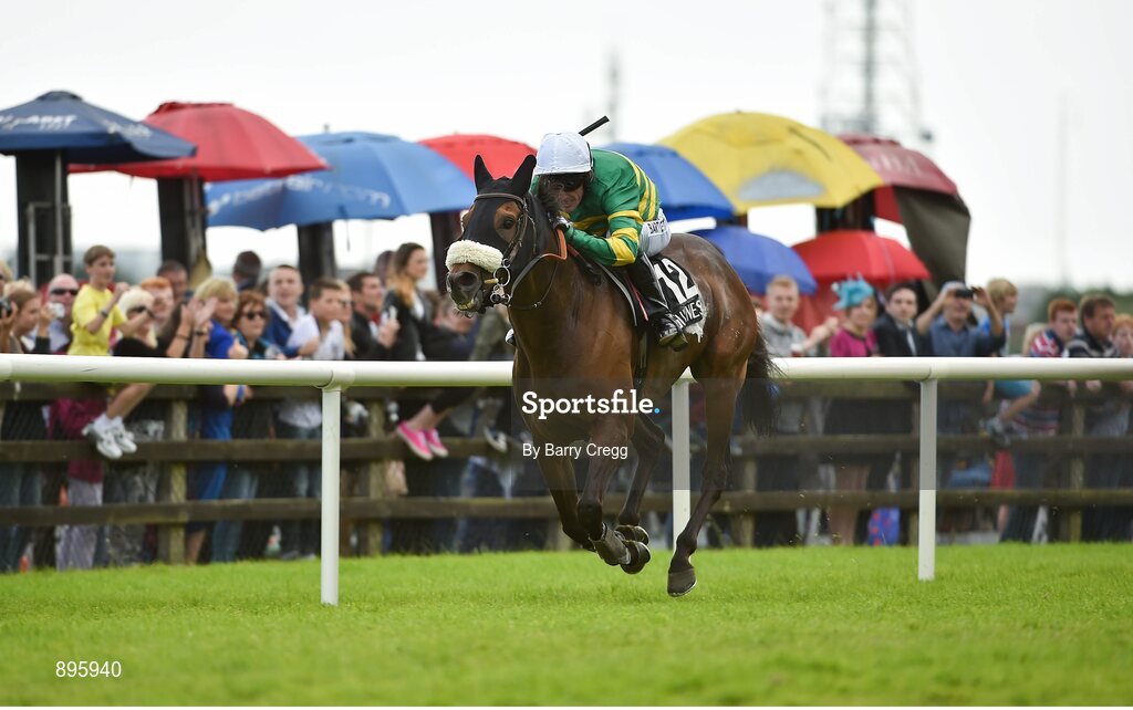 31 July 2014; Thomas Edison, with Tony McCoy up, on their way to winning the Guinness Galway Hurdle Handicap. Galway Racing Festival, Ballybrit, Co. Galway. Picture credit: Barry Cregg / SPORTSFILE
