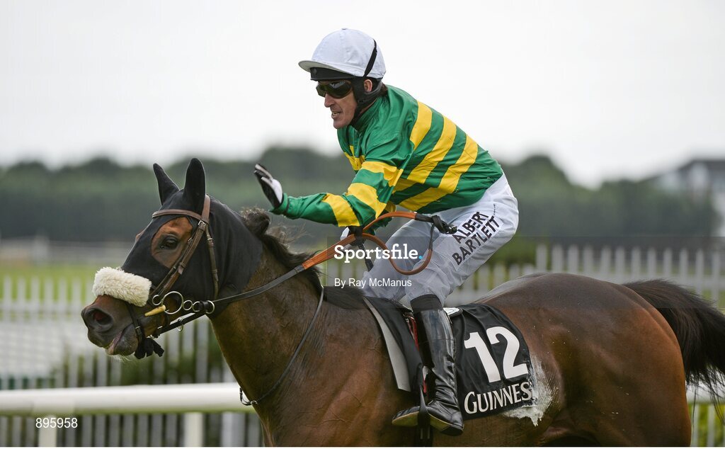 31 July 2014; Thomas Edison, with Tony McCoy up, after winning the Guinness Galway Hurdle Handicap. Galway Racing Festival, Ballybrit, Co. Galway. Picture credit: Ray McManus / SPORTSFILE