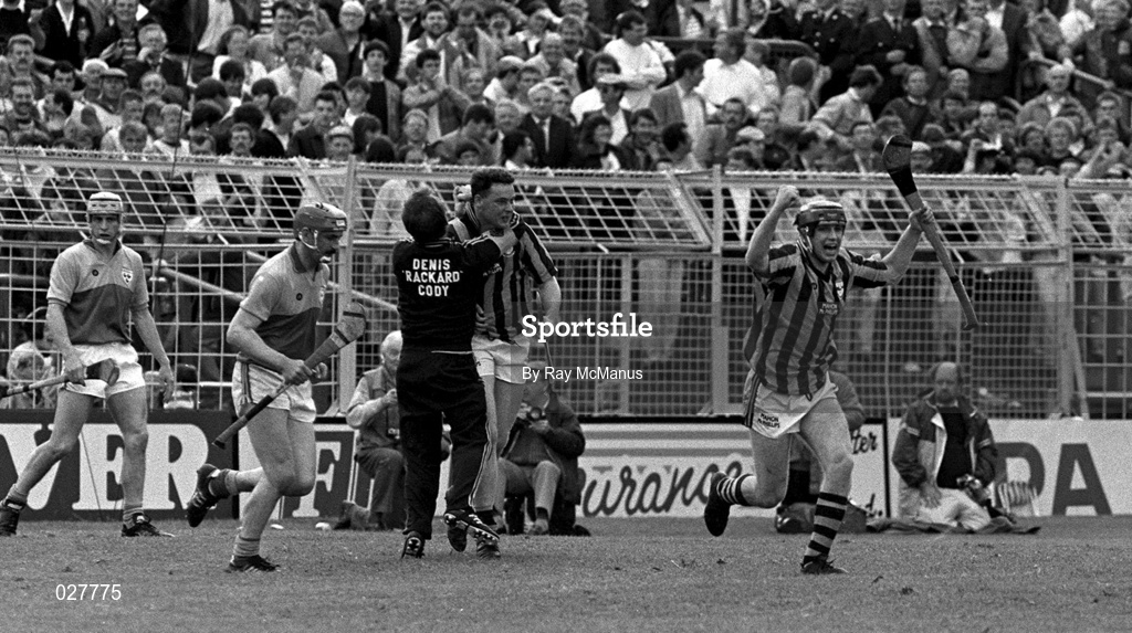 30 June 1991; Kilkenny's DJ Carey, right, celebrates a goal during the Leinster Senior Hurling Championship Semi-Final match between Kilkenny and Wexford at Croke Park in Dublin. Photo by Ray McManus/Sportsfile