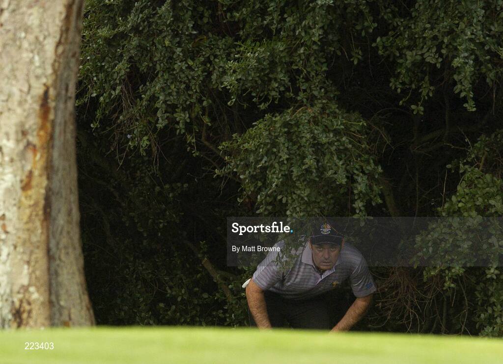 23 September 2006; Paul McGinley, Team Europe 2006, looks at his options after taking a drop on the ninth hole during Saturday afternoon's foursomes matches. 36th Ryder Cup Matches, K Club, Straffan, Co. Kildare, Ireland. Picture credit: Matt Browne / SPORTSFILE
