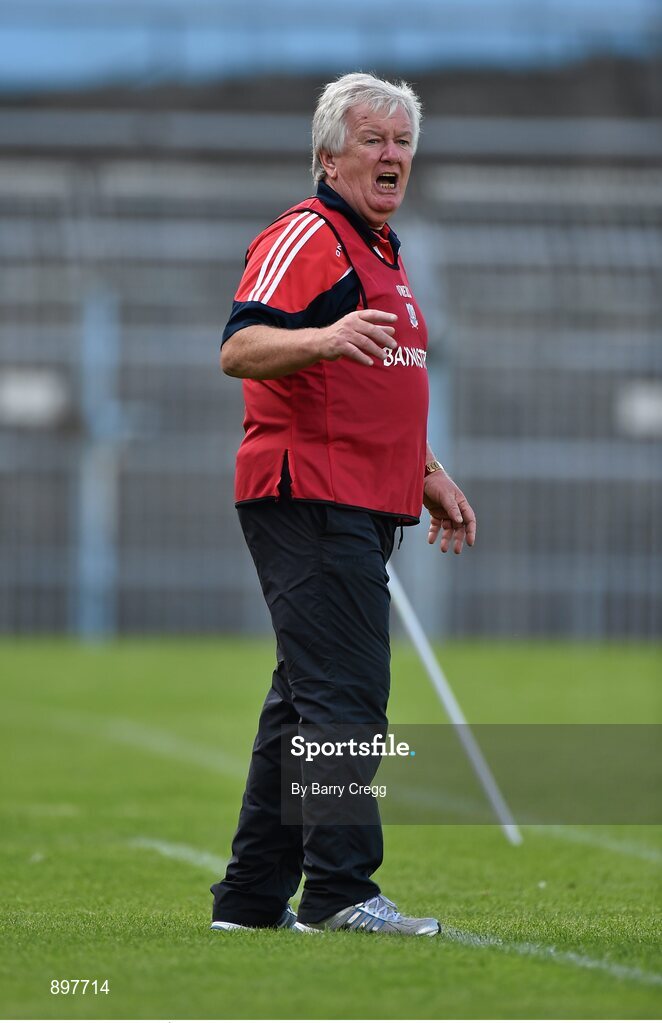 4 August 2014; Cork manager Donol Ó Suilleabháin. Electric Ireland GAA Football All-Ireland Minor Championship Quarter-Final, Dublin v Cork, Semple Stadium, Thurles, Co. Tipperary. Picture credit: Barry Cregg / SPORTSFILE