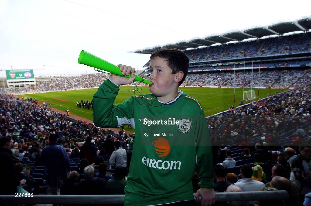 5 November 2006; Jamie Maxwell, aged 10, from Co Tipperary, shows his support for Ireland. Coca-Cola International Rules Series 2006, Second Test, Ireland v Australia, Croke Park, Dublin. Picture credit: David Maher / SPORTSFILE