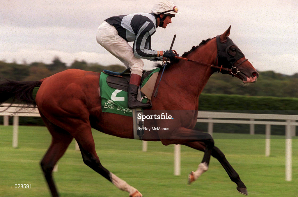 11 September 1999; Dream Well, with Cash Asmussen up, go to post during horse racing at Leopardstown Racecourse in Dublin. Photo by Ray McManus/Sportsfile