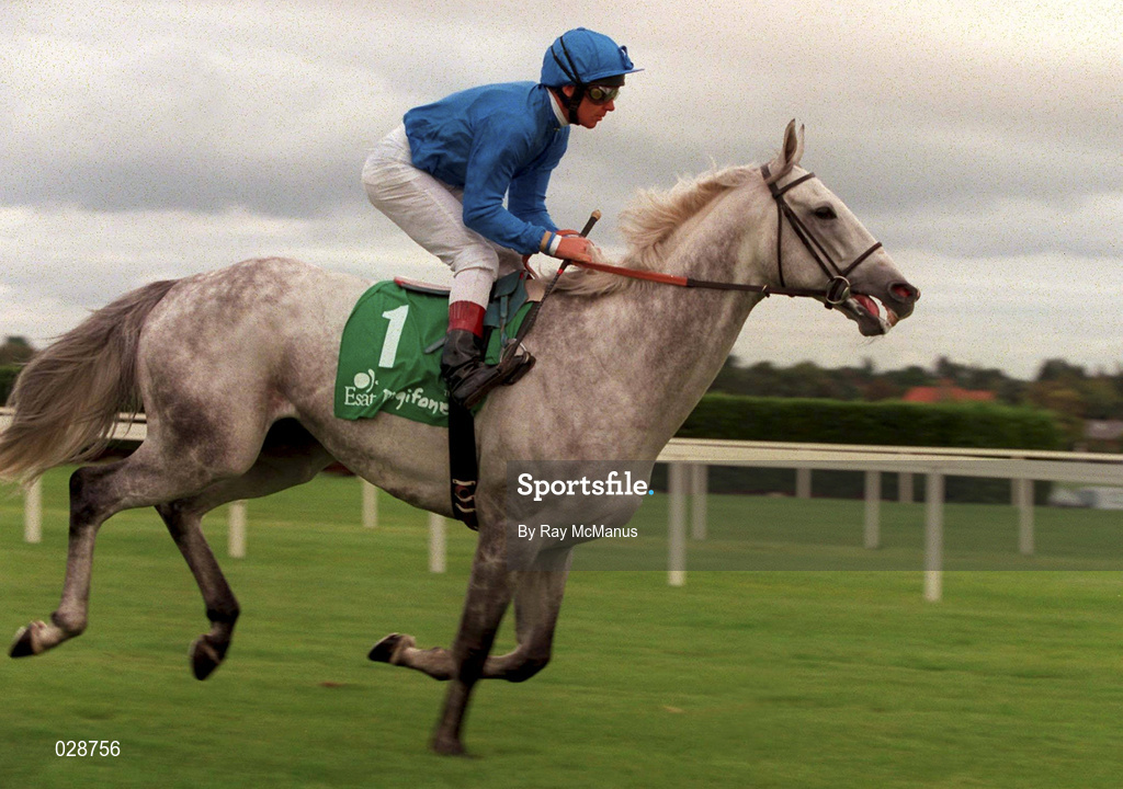 11 September 1999; Daylami, with Frankie Dettori up, go to post during horse racing at Leopardstown Racecourse in Dublin. Photo by Ray McManus/Sportsfile